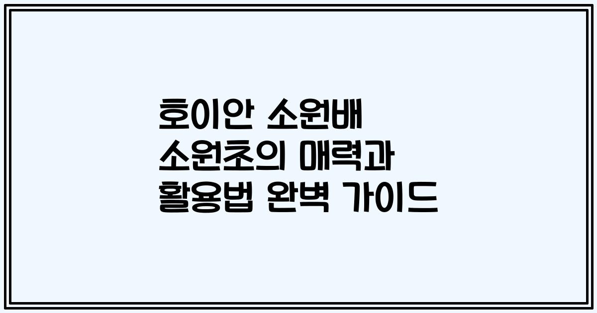 호이안 소원배 소원초의 매력과 활용법 완벽 가이드